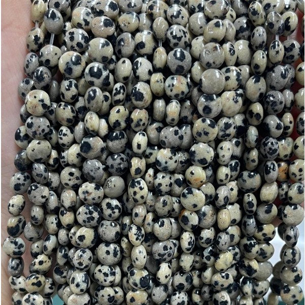 No_1345_Natural Dalmation Jasper Coin Beads_6mm_(Sold Per Strand)