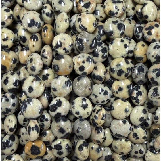 No_1567_Natural Dalmation Jasper Coin Beads_8mm_(Sold Per Strand)