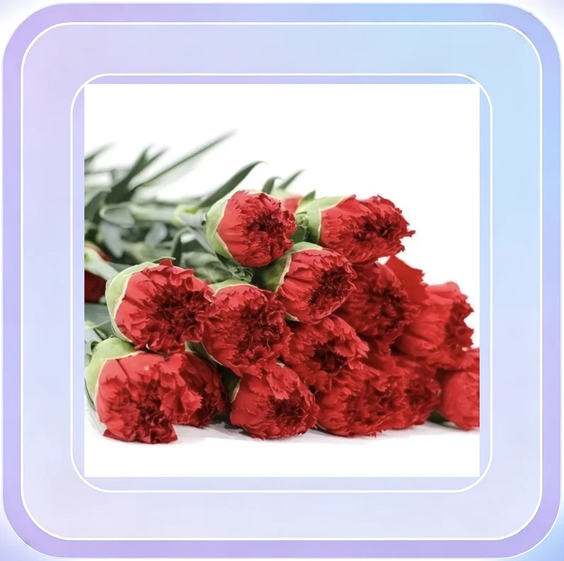 No.119_Red Crochet Tulip Stems (Set of 4)